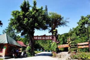 Thừa Thiên - Huế: Quy hoạch phân khu xây dựng Khu du lịch sinh thái tâm linh và nghỉ dưỡng Bạch Mã